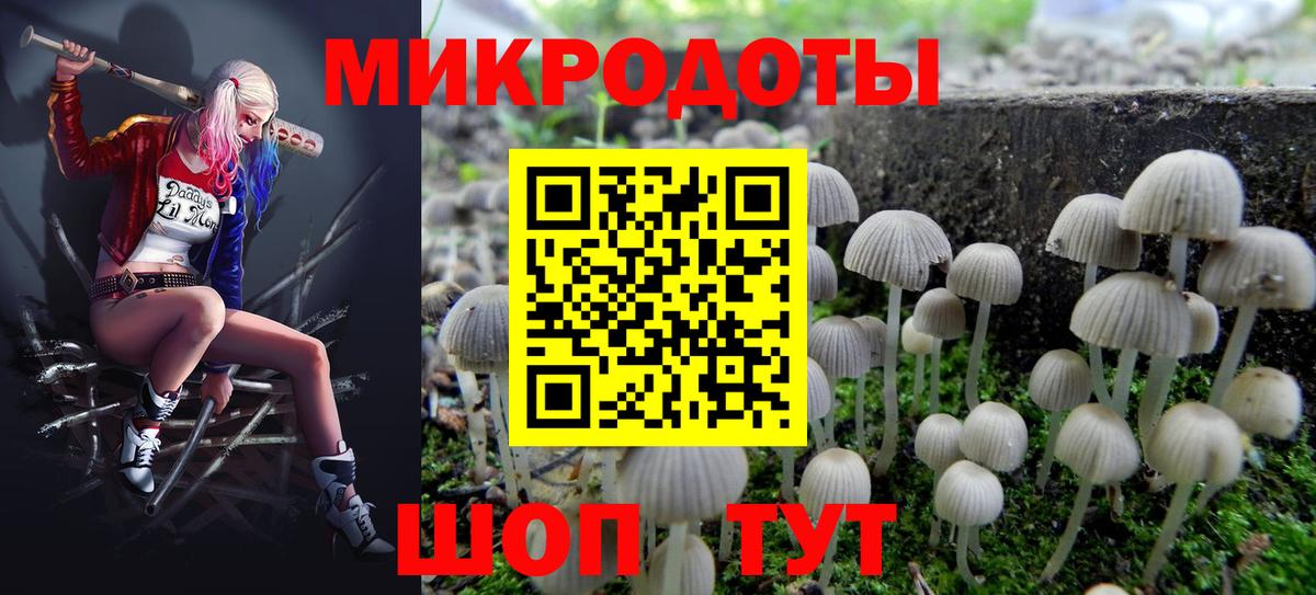 Псилоцибиновые грибы GOLDEN TEACHER  Вход с VPN  цены   Новочеркасск 